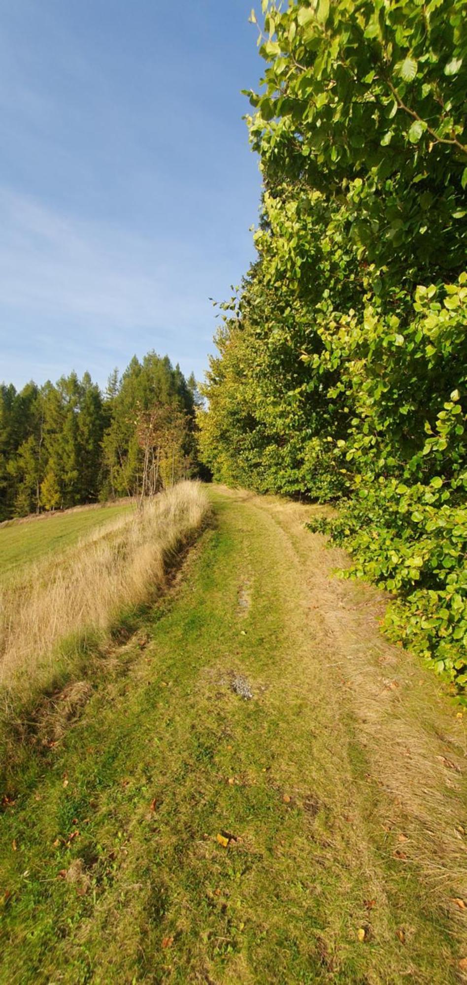 Die Alte Baeckerei Jöhstadt Buitenkant foto