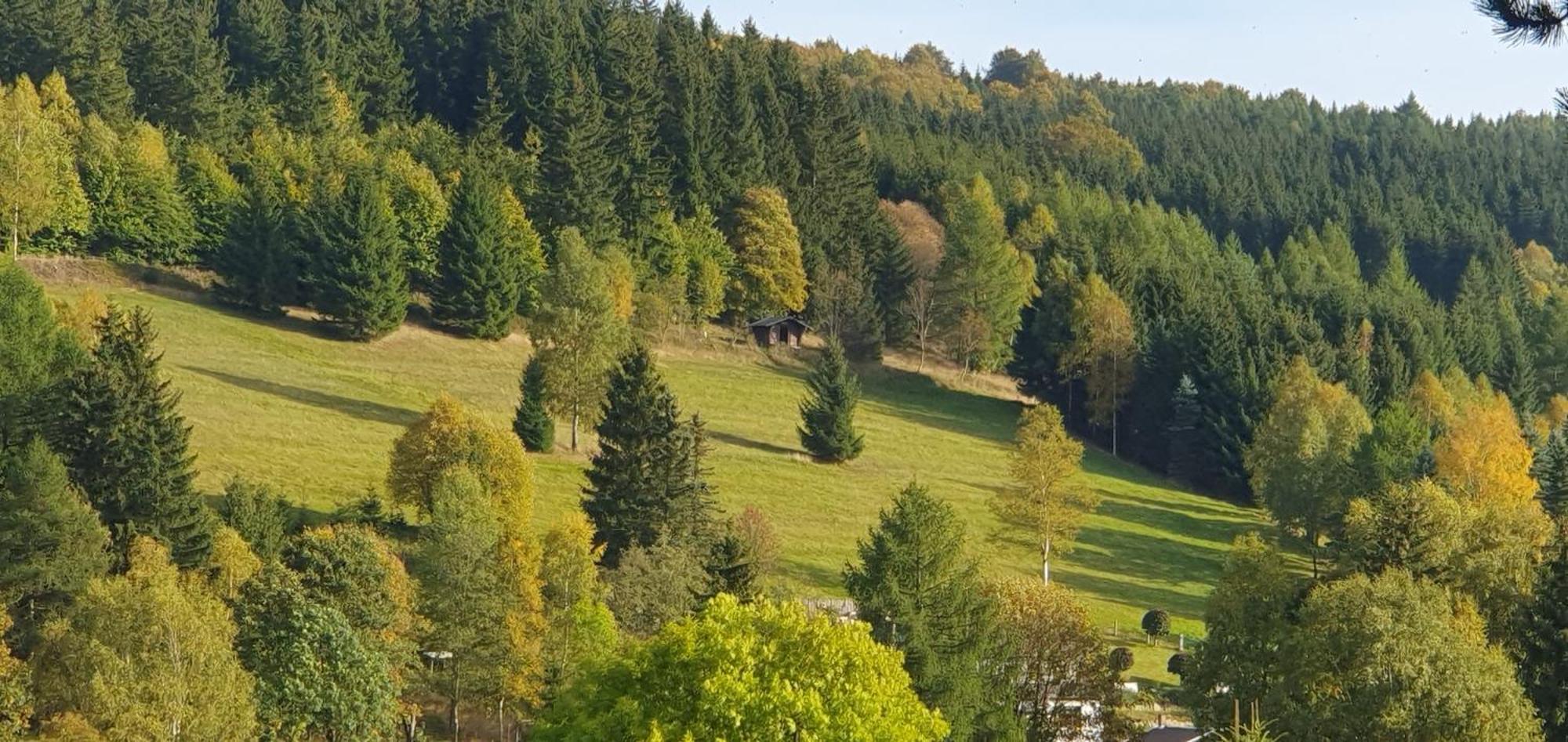 Die Alte Baeckerei Jöhstadt Buitenkant foto